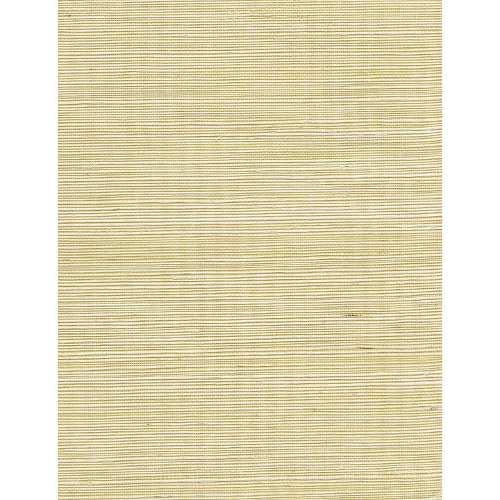 Acapella Ore by Winfield Thybony Wallcovering WINFIELD THYBONY ABACA - 100% United States - Horizontal: 0 and Vertical: 0 36 - Fabric Carolina -
