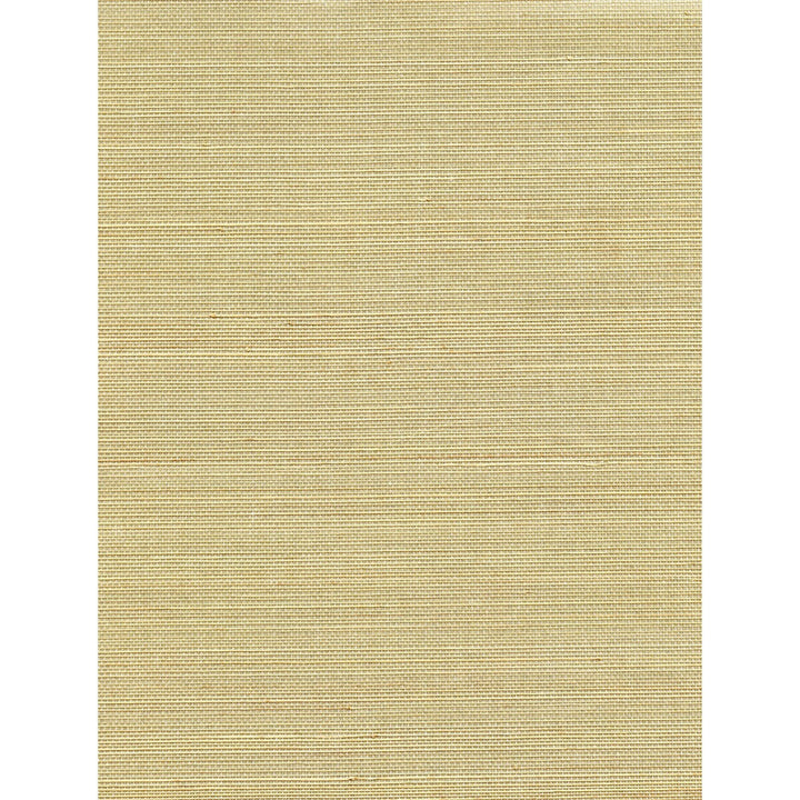 Acapella Sand by Winfield Thybony Wallcovering Winfield Thybony Wallcovering Acapella SandWallcovering WINFIELD THYBONY ABACA - 100% United States </p><p>Repeat: H: 0, V: 0 36 - Fabric Carolina -