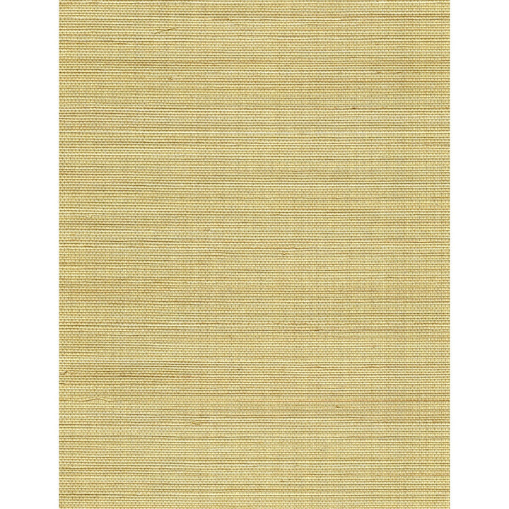 Acapella Corn Silk by Winfield Thybony Wallcovering WINFIELD THYBONY ABACA - 100% United States - Horizontal: 0 and Vertical: 0 36 - Fabric Carolina -