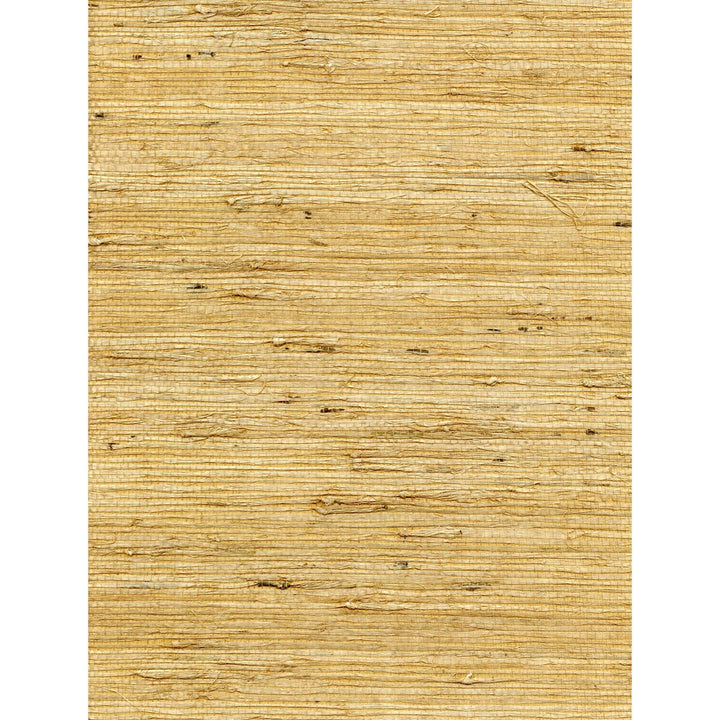 Concerto Saffron by Winfield Thybony Wallcovering WINFIELD THYBONY ARROWROOT - 100% United States - Horizontal: 0 and Vertical: 0 36 - Fabric Carolina -
