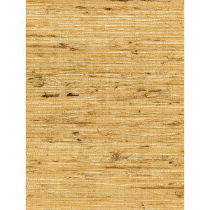 Concerto Ochre by Winfield Thybony Wallcovering