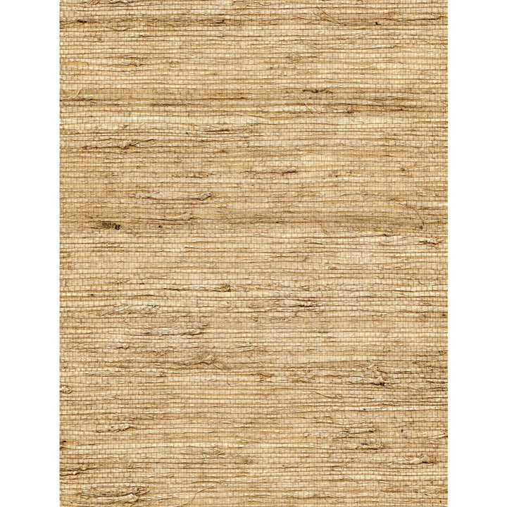 Concerto Latte by Winfield Thybony Wallcovering WINFIELD THYBONY ARROWROOT - 100% United States - Horizontal: 0 and Vertical: 0 36 - Fabric Carolina -