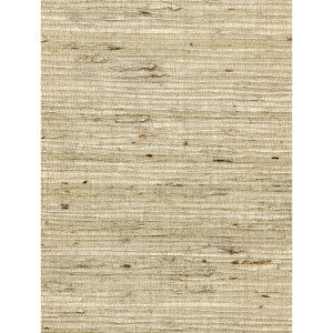 Concerto Fawn by Winfield Thybony Wallcovering
