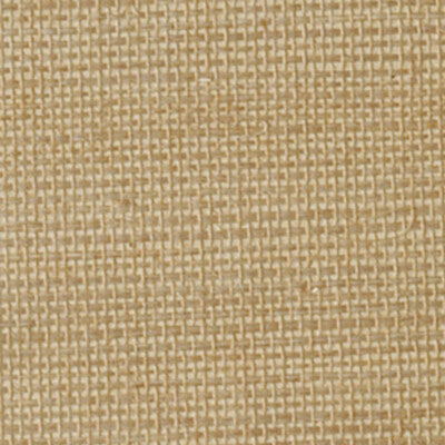 Winfield Thybony Wallcovering WOC2423.WT.0 Wallcovering GRASS - 100% China </p><p>Repeat: H: , V: 27.5 21 - My Fabric Connection -