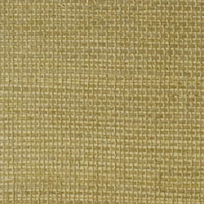 WOC2428.WT.0 by Winfield Thybony Wallcovering Winfield Thybony Wallcovering WOC2428.WT.0Wallcovering WINFIELD THYBONY ORIENTAL CLASSICS GRASS - 100% China </p><p>Repeat: H: 0, V: 0 36 - Fabric Carolina -