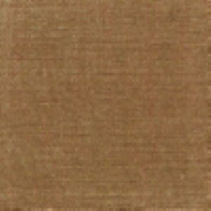 Wonder Honey by Norbar Fabric