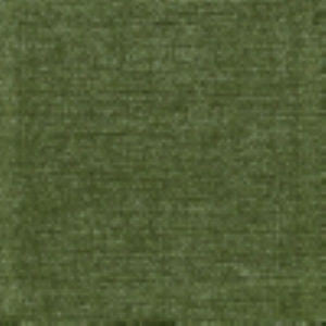 Wonder Moss by Norbar Fabric