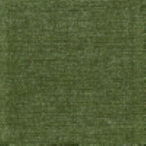 Wonder Moss by Norbar Fabric