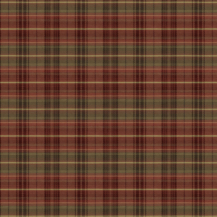 Wonsan 1 Russet by Stout Fabric RAINBOW LIBRARY BERRY/CINNABAR 100%POL USA FLAME RETARDANT-U.F.A.C. CLASS 1 CATB 117-2013 WYZENBEEK 40 000 DOUBLE RUB WEAR TEST (HEAVY DUTY) Horizontal: 7 and Vertical: 6.625 54 in - Fabric Carolina -