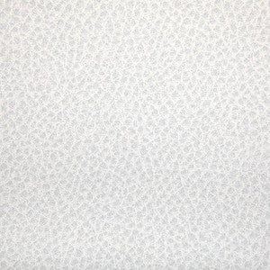 Woolf Fossil WOOLF.101.0 by Kravet Contract Fabric