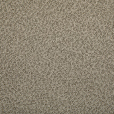 Kravet Contract Upholstery WOOLF.121.0 Upholstery POLYURETHANE - 95%;SILICONE - 5% Taiwan </p><p>Repeat: H: , V: 27.5 21 - My Fabric Connection -