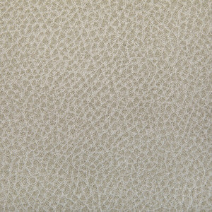 Woolf Limestone WOOLF.1.0 by Kravet Contract Fabric