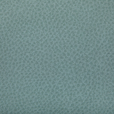 Kravet Contract Upholstery WOOLF.35.0 Upholstery POLYURETHANE - 95%;SILICONE - 5% Taiwan </p><p>Repeat: H: , V: 27.5 21 - My Fabric Connection -