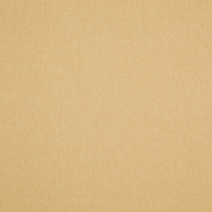 Woolsley 15J8171 by JF Fabric Renegade Fibreguard 100% Polyester China 135000 Horizontal: and Vertical: 57 - Fabric Carolina -