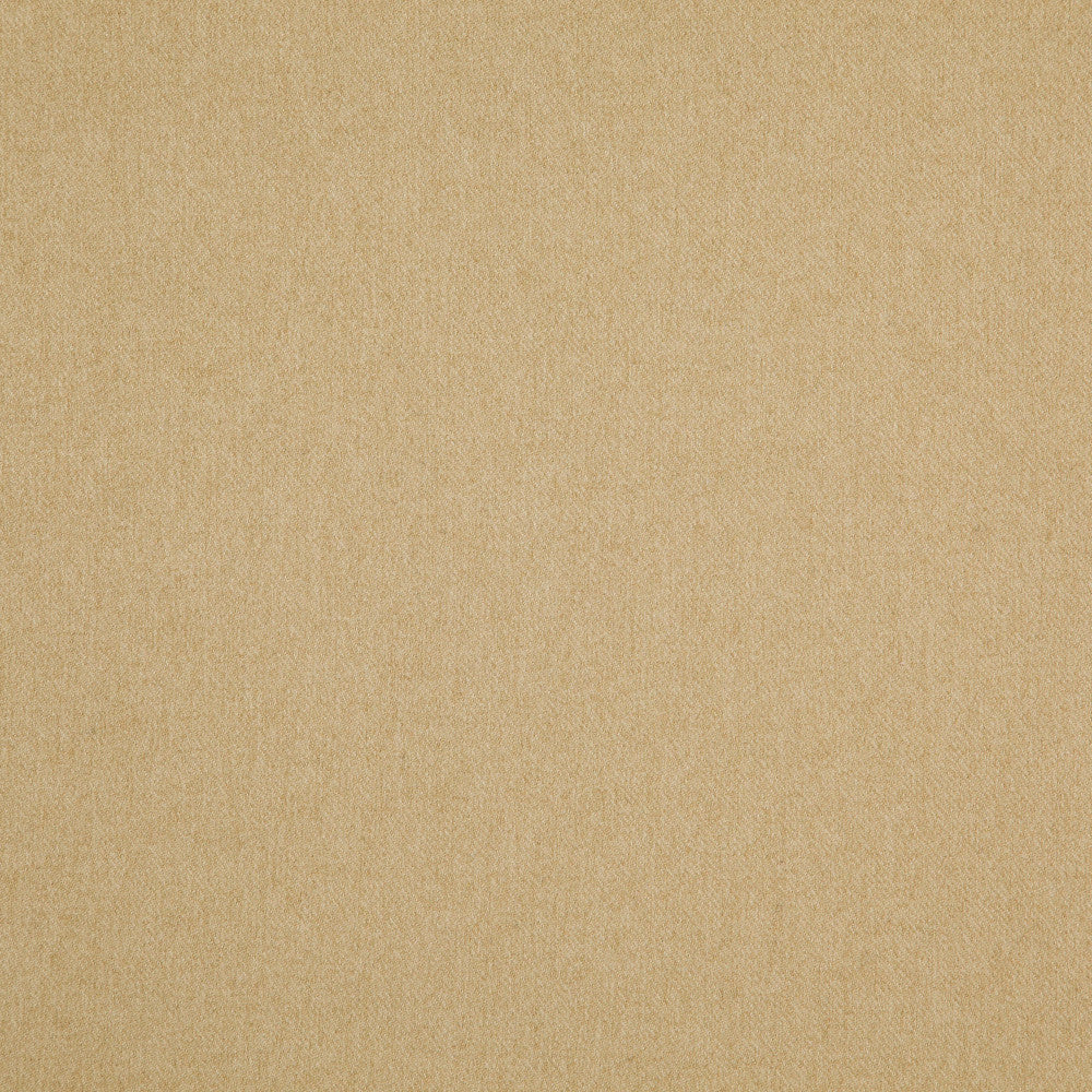 Woolsley 17J8171 by JF Fabric Renegade Fibreguard 100% Polyester China 135000 Horizontal: and Vertical: 57 - Fabric Carolina -