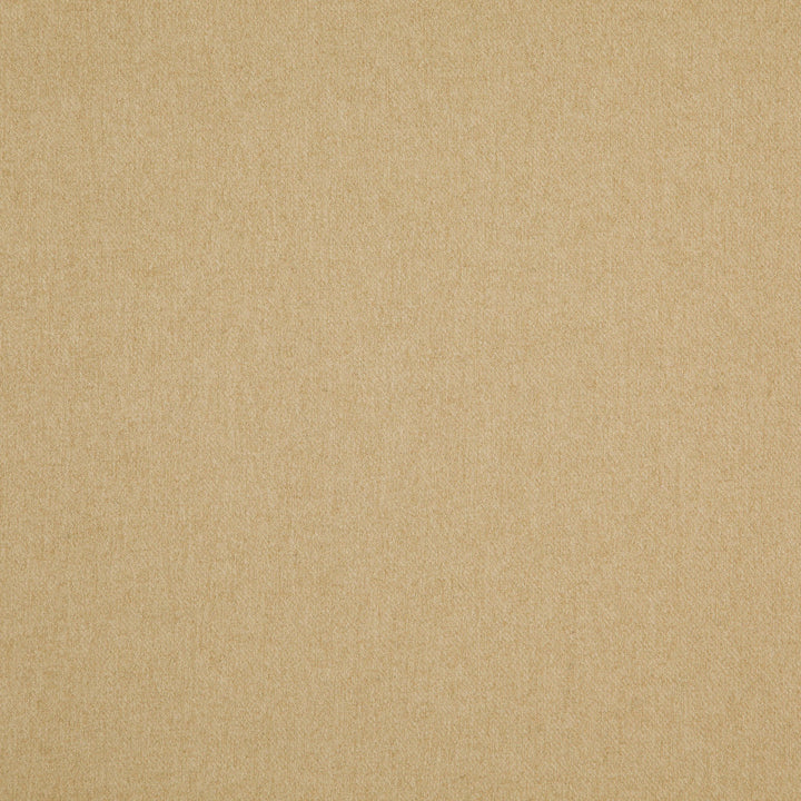 WOOLSLEY 17J8171 by JF Fabric Renegade Fibreguard 100% Polyester China Horizontal: and Vertical: 57 - Fabric Carolina -