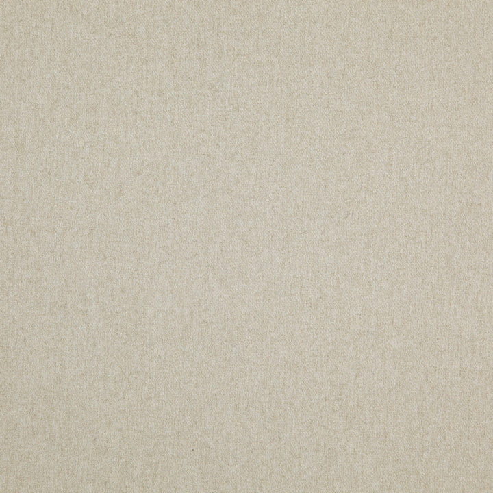Woolsley 31J8171 by JF Fabric Renegade Fibreguard 100% Polyester China 135000 Horizontal: and Vertical: 57 - Fabric Carolina -