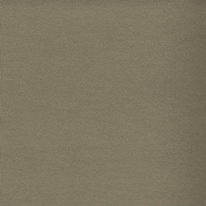 Worth Dune by Norbar Fabric WORTH 100% COTTON CHINA 15,000 WYZENBEEK 54 - Fabric Carolina -