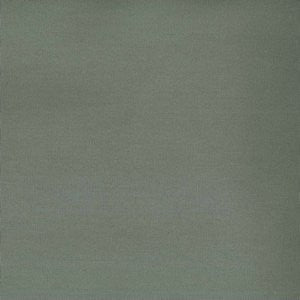 Worth Everglade by Norbar Fabric See Sample 100% COTTON CHINA 15,000 WYZENBEEK 54 - Fabric Carolina -