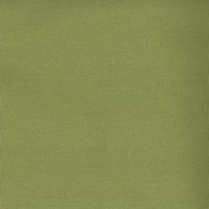 Worth Lime by Norbar Fabric WORTH 100% COTTON CHINA 15,000 WYZENBEEK </p><p>Repeat: 54 - Fabric Carolina -