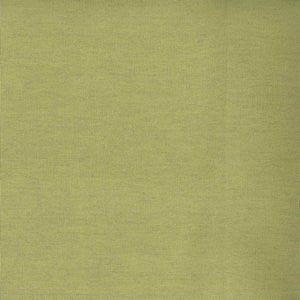 Worth Sprout by Norbar Fabric See Sample 100% COTTON CHINA UFAC 1, NFPA 260 </p><p>Repeat: Horizontal: and Vertical: - 54 - Fabric Carolina -