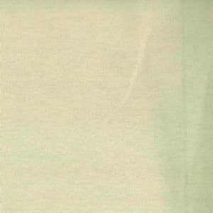 Worth Stucco by Norbar Fabric See Sample 100% COTTON CHINA 15,000 WYZENBEEK 54 - Fabric Carolina -