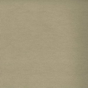 Worth Toast by Norbar Fabric WORTH 100% COTTON CHINA 15,000 WYZENBEEK 54 - Fabric Carolina -