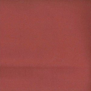 Worth Watermelon by Norbar Fabric WORTH 100% COTTON CHINA 15,000 WYZENBEEK 54 - Fabric Carolina -