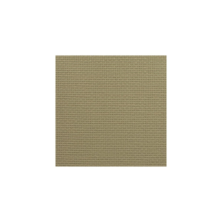 Winfield Thybony Wos3485-Wt by Winfield Thybony Wallcovering WINFIELD THYBONY ASIAN ESSENCE PAPER - 100% China - Horizontal: 0 and Vertical: 36 36 - Fabric Carolina -