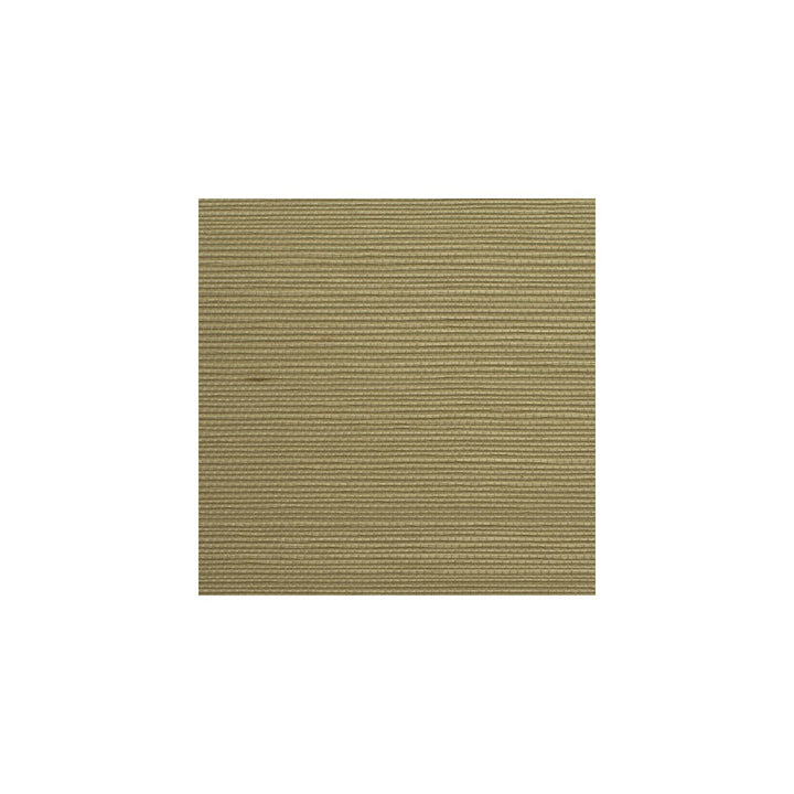 Winfield Thybony Wos3488-Wt by Winfield Thybony Wallcovering WINFIELD THYBONY ASIAN ESSENCE SISAL - 100% China - Horizontal: 0 and Vertical: 36 36 - Fabric Carolina -
