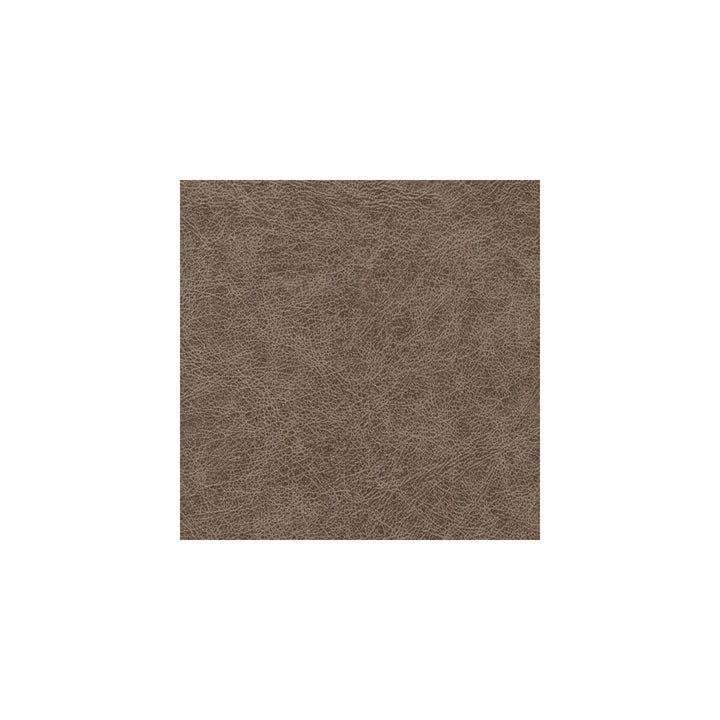 Enduring Bronco by Winfield Thybony Wallcovering WINFIELD THYBONY PERFORMACE VINYL 17 VINYL - 100% United States - Horizontal: - and Vertical: - 54 - Fabric Carolina -