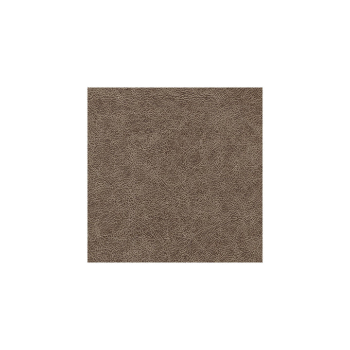 Enduring Bronco by Winfield Thybony Designer Wallcovering WINFIELD THYBONY PERFORMACE VINYL 17 VINYL - 100% United States - Horizontal: - and Vertical: - 54 - Swanky Fabrics -