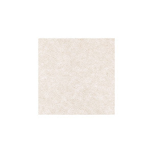 Enduring Desert by Winfield Thybony Wallcovering