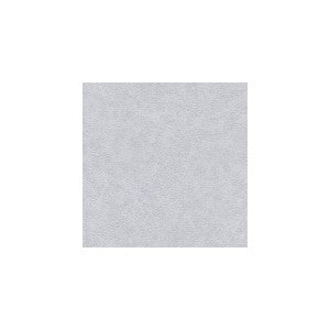 Enduring Dove by Winfield Thybony Wallcovering