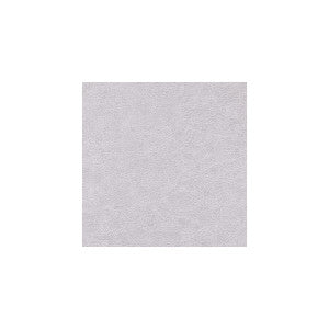 Enduring Brushed by Winfield Thybony Wallcovering