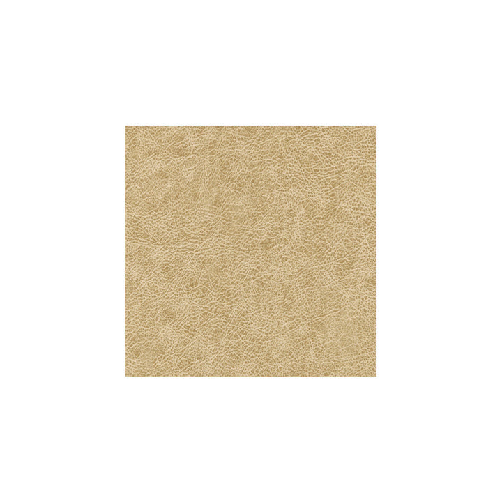 Enduring Cowboy Boots by Winfield Thybony Wallcovering WINFIELD THYBONY PERFORMACE VINYL 17 VINYL - 100% United States - Horizontal: - and Vertical: - 54 - Fabric Carolina -