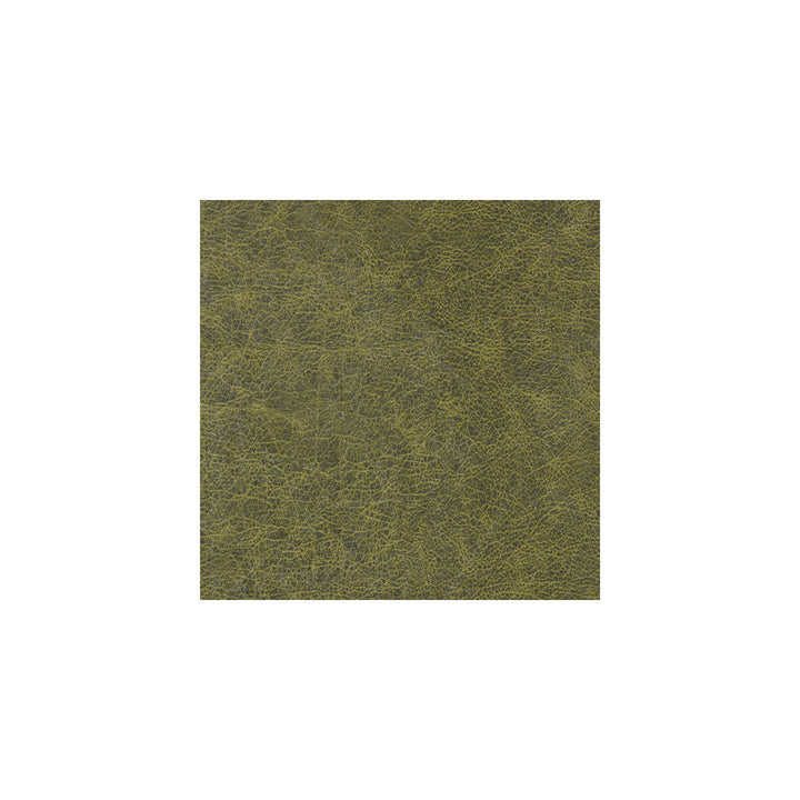 Enduring Alligator Skin by Winfield Thybony Wallcovering WINFIELD THYBONY PERFORMACE VINYL 17 VINYL - 100% United States - Horizontal: - and Vertical: - 54 - Fabric Carolina -