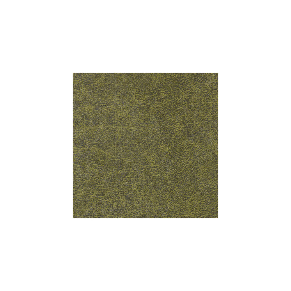 Enduring Alligator Skin by Winfield Thybony Wallcovering Winfield Thybony Wallcovering Enduring Alligator SkinWallcovering WINFIELD THYBONY PERFORMACE VINYL 17 VINYL - 100% United States </p><p>Repeat: H: , V: 54 - Fabric Carolina -