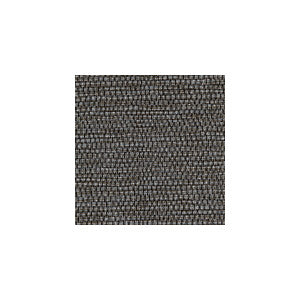 Panama Nightwatch by Winfield Thybony Wallcovering