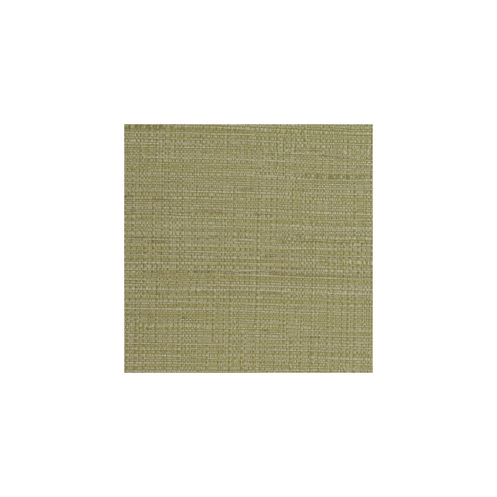 Bouquet Weave Olive by Winfield Thybony Wallcovering WINFIELD THYBONY PERFORMACE VINYL - United States - Horizontal: - and Vertical: 0 54 - Fabric Carolina -