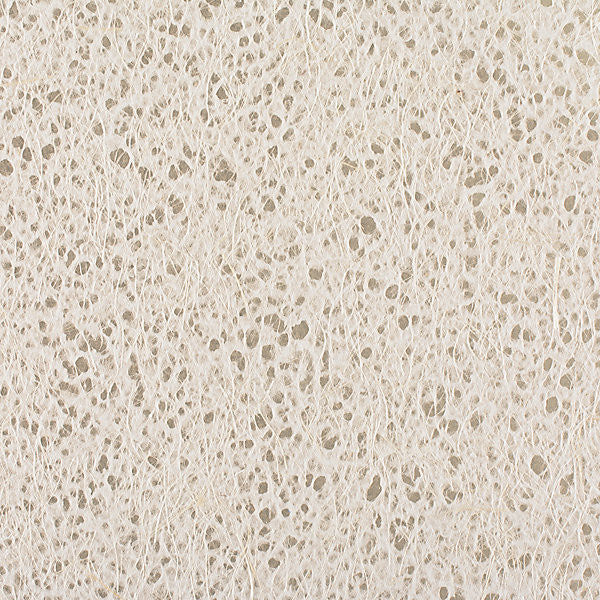 Cumulus Clouds/Silver Wrw0001072B by Scalamandre
 Wallpaper TAIWAN Horizontal: 0" and Vertical: 36" - Fabric Carolina -
