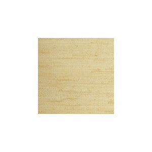Winfield Thybony Wse1264-Wt by Winfield Thybony Wallcovering