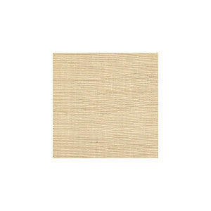 Sisal Manilla by Winfield Thybony Wallcovering