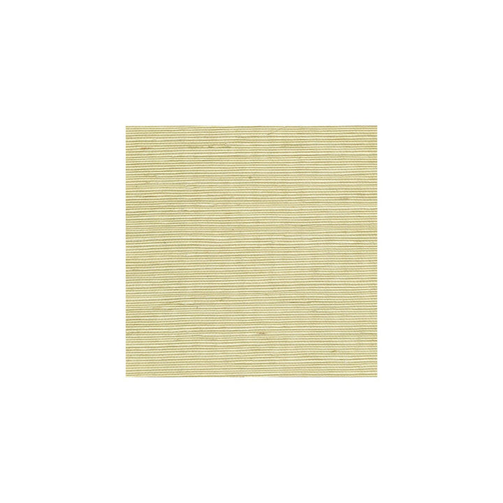 Sisal Limeaid by Winfield Thybony Wallcovering Winfield Thybony Wallcovering Sisal LimeaidWallcovering WINFIELD THYBONY SIMPLY SISAL PAPER - 100% China </p><p>Repeat: H: , V: 36 - Fabric Carolina -