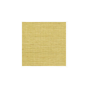 Sisal Citrine by Winfield Thybony Wallcovering