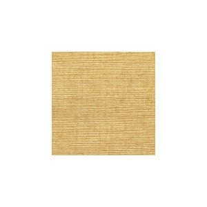 Sisal Brush by Winfield Thybony Wallcovering