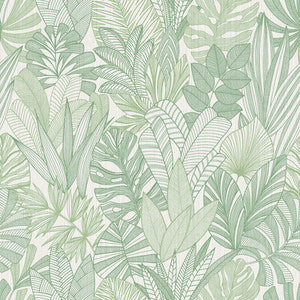 Cornish Lane Tropicale WTK20204.WT.0 by Winfield Thybony Wallcovering