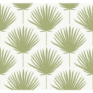 Shore Front Avocado WTK21204.WT.0 by Winfield Thybony Wallcovering