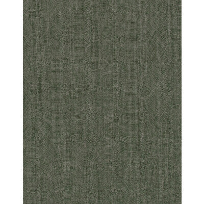 WTN1043.WT.0 by Winfield Thybony Wallcovering Winfield Thybony Wallcovering WTN1043.WT.0Wallcovering WINFIELD THYBONY TANIYA NAYAK VINYL ON OSNABURG - 100% United States </p><p>Repeat: H: , V: 54 - Fabric Carolina -