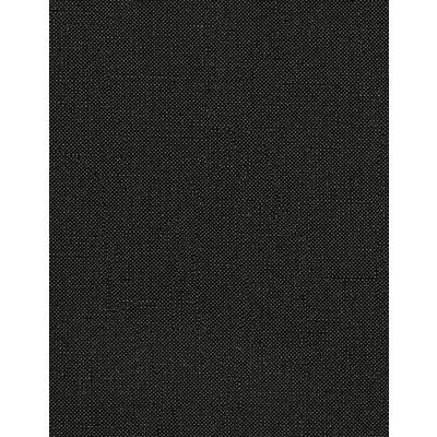 WTN1055.WT.0 by Winfield Thybony Wallcovering Winfield Thybony Wallcovering WTN1055.WT.0Wallcovering WINFIELD THYBONY TANIYA NAYAK VINYL ON OSNABURG - 100% United States </p><p>Repeat: H: , V: 54 - Fabric Carolina -